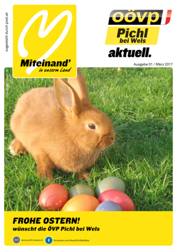 OEVP_Zeitung_01_2017_Ansicht OEVP_Zeitung_01_2017_Ansicht